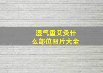 湿气重艾灸什么部位图片大全