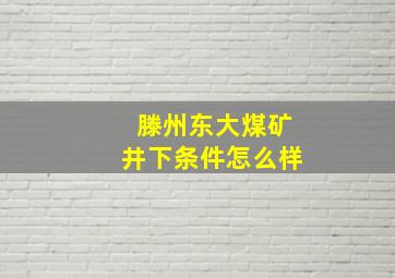 滕州东大煤矿井下条件怎么样