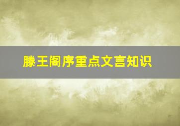 滕王阁序重点文言知识