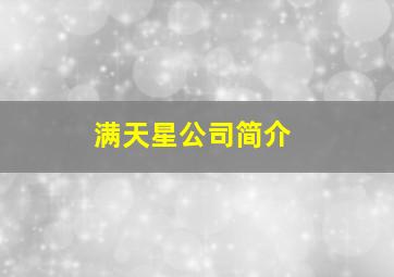 满天星公司简介