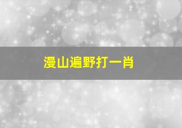 漫山遍野打一肖