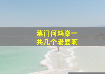 澳门何鸿燊一共几个老婆啊