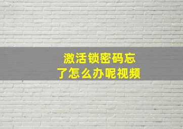 激活锁密码忘了怎么办呢视频