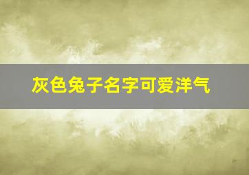 灰色兔子名字可爱洋气