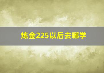 炼金225以后去哪学