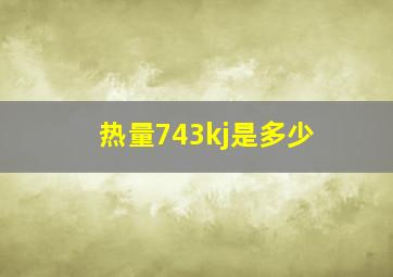 热量743kj是多少