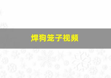 焊狗笼子视频