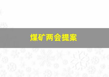 煤矿两会提案