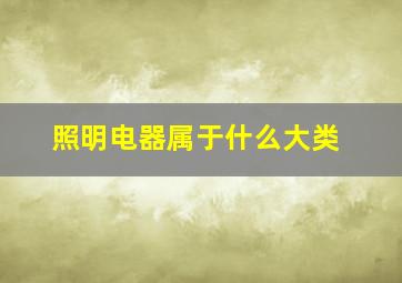 照明电器属于什么大类