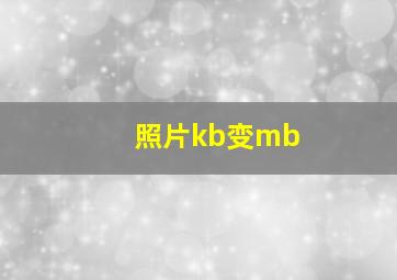 照片kb变mb