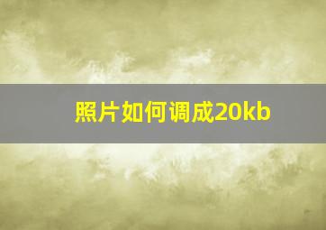 照片如何调成20kb