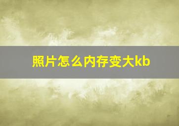 照片怎么内存变大kb