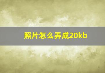 照片怎么弄成20kb