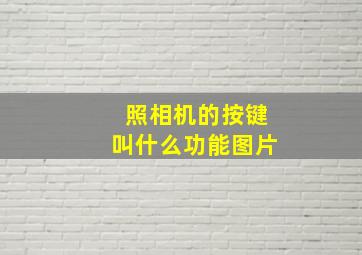 照相机的按键叫什么功能图片