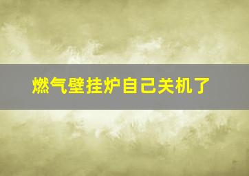 燃气壁挂炉自己关机了