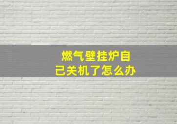 燃气壁挂炉自己关机了怎么办