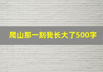 爬山那一刻我长大了500字