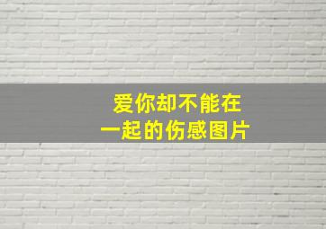 爱你却不能在一起的伤感图片