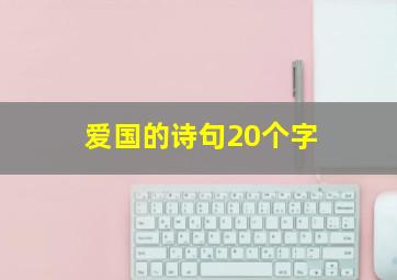 爱国的诗句20个字