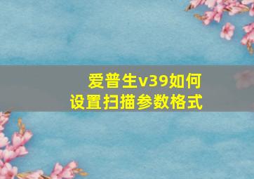 爱普生v39如何设置扫描参数格式