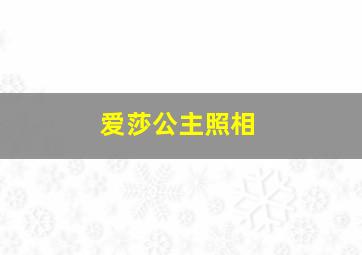 爱莎公主照相