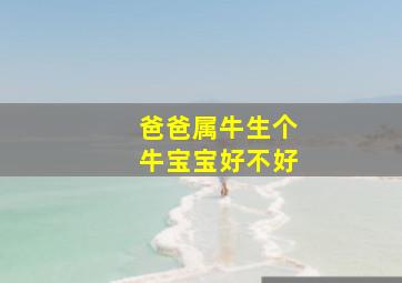 爸爸属牛生个牛宝宝好不好