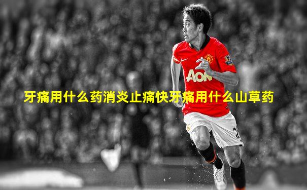 牙痛用什么药消炎止痛快牙痛用什么山草药