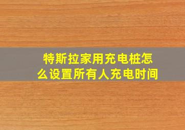 特斯拉家用充电桩怎么设置所有人充电时间