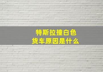 特斯拉撞白色货车原因是什么