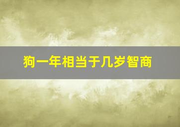 狗一年相当于几岁智商