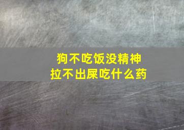 狗不吃饭没精神拉不出屎吃什么药