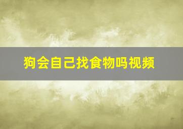 狗会自己找食物吗视频