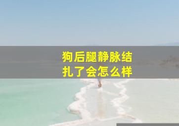 狗后腿静脉结扎了会怎么样