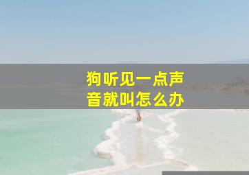 狗听见一点声音就叫怎么办