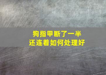 狗指甲断了一半还连着如何处理好