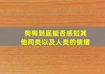 狗狗到底能否感知其他同类以及人类的情绪