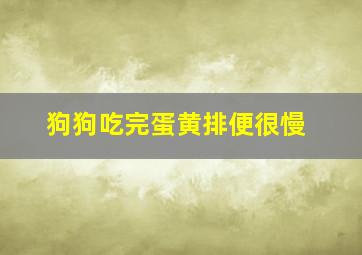 狗狗吃完蛋黄排便很慢