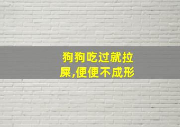 狗狗吃过就拉屎,便便不成形