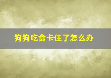 狗狗吃食卡住了怎么办