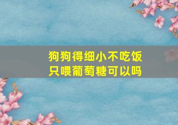 狗狗得细小不吃饭只喂葡萄糖可以吗