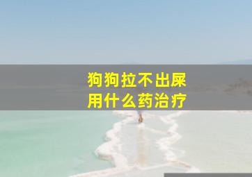 狗狗拉不出屎用什么药治疗