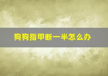 狗狗指甲断一半怎么办