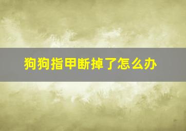 狗狗指甲断掉了怎么办