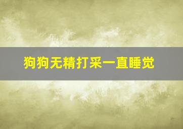 狗狗无精打采一直睡觉