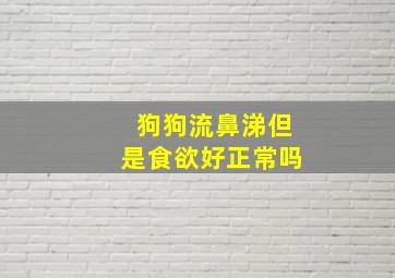 狗狗流鼻涕但是食欲好正常吗