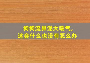 狗狗流鼻涕大喘气,这会什么也没有怎么办