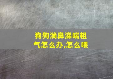 狗狗淌鼻涕喘粗气怎么办,怎么喂