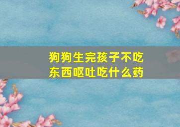 狗狗生完孩子不吃东西呕吐吃什么药