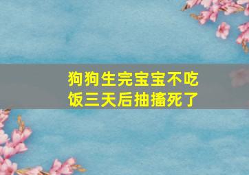 狗狗生完宝宝不吃饭三天后抽搐死了