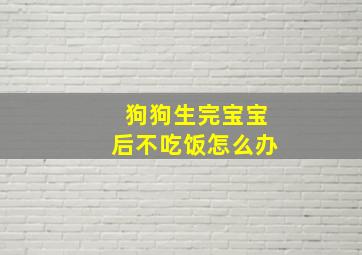 狗狗生完宝宝后不吃饭怎么办